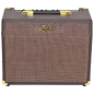 Preview: EVER PLAY 25C - Acoustic Amp